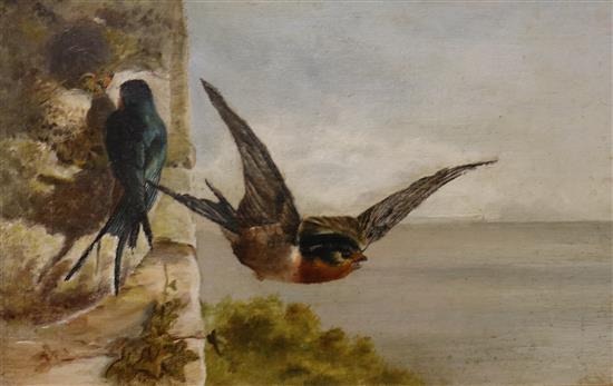 Late Victorian, oil on canvas, Swallows, 19 x 30cm